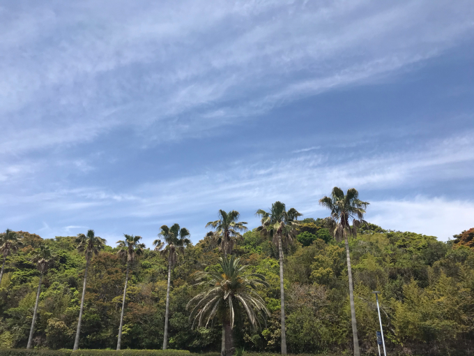 私的ブログ…季節はかわりました…編^_^。_d0132688_19552185.jpg