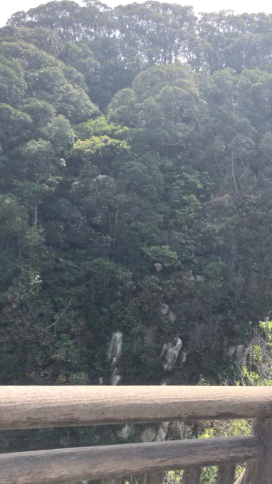 私的ブログ…季節はかわりました…編^_^。_d0132688_19571978.jpg