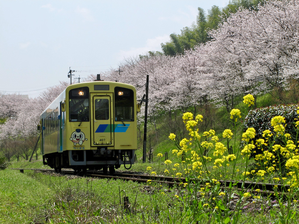 10年前の赤駅近くのサクラ（2011年4月）_e0414296_12572137.jpg