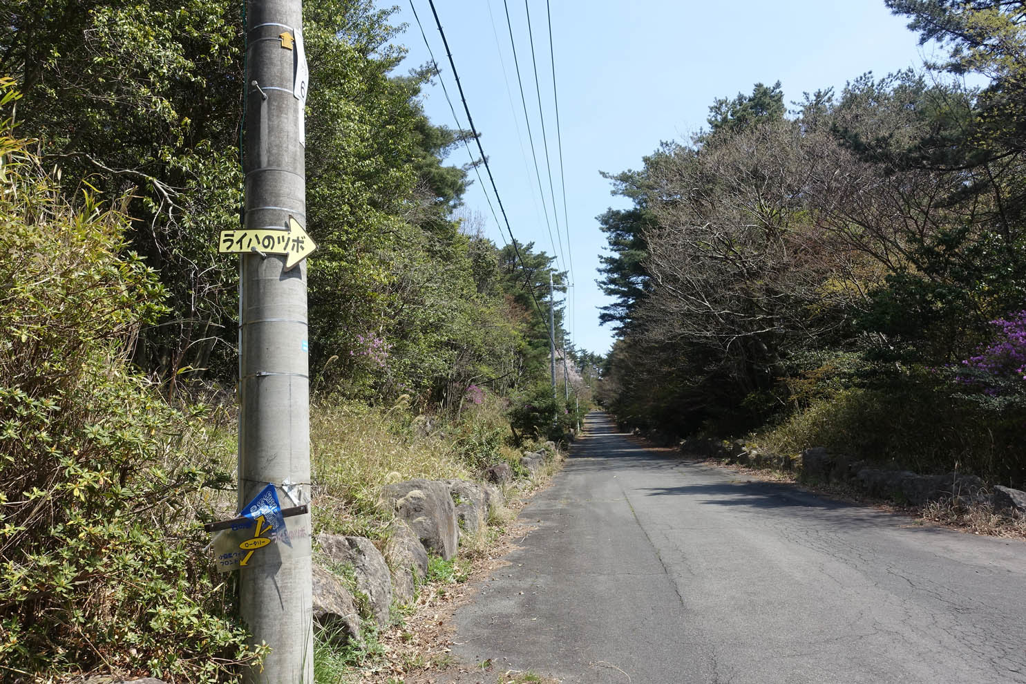 小豆島ヴィラに上ってみた その3 Bicycle Touring Photo Gallery 小豆島ヴィラに上ってみた その3 Bicycle Touring Photo Gallery