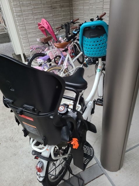 初の電動自転車_c0124528_06551899.jpg