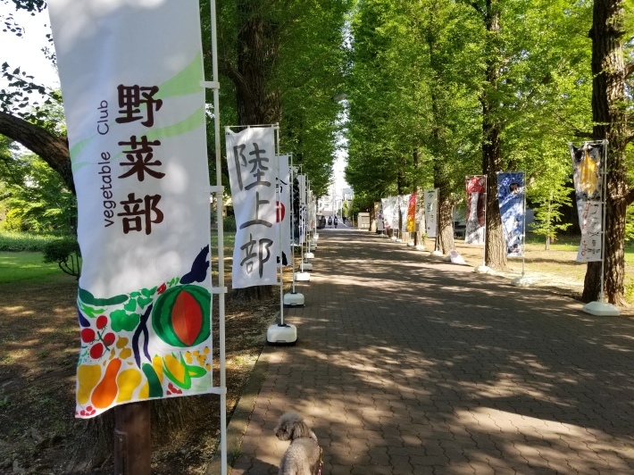 あん人たちゃ、宇宙人かの 「広い宇宙に地球人しか見当たらない75の理由」_e0016828_10180260.jpg