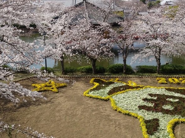 安倍文珠院の桜_b0299042_15550770.jpg