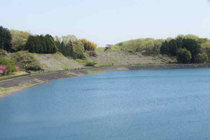 市貝町 芝桜公園で春を楽しむ こもれび