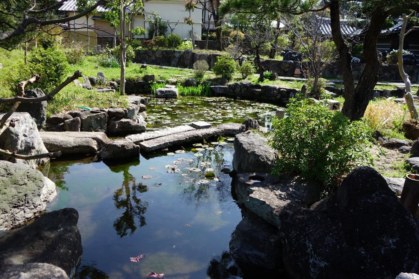 早春の富田御坊　本照寺_c0112559_08103565.jpg