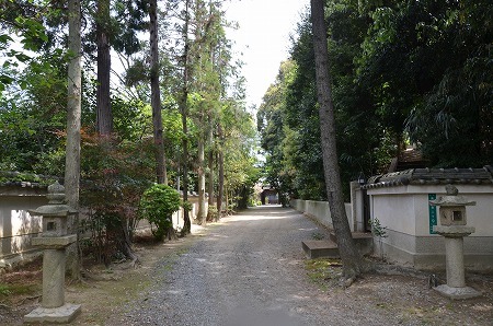 堺市 高倉寺宝積院 yukoの花の部屋