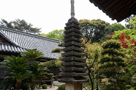 堺市 高倉寺宝積院 yukoの花の部屋