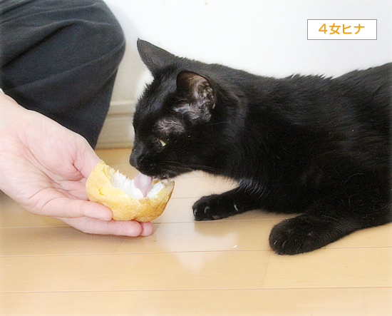 ヒナが食べた!_a0389088_15124434.jpg