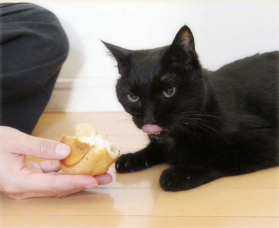 ヒナが食べた!_a0389088_15124469.jpg