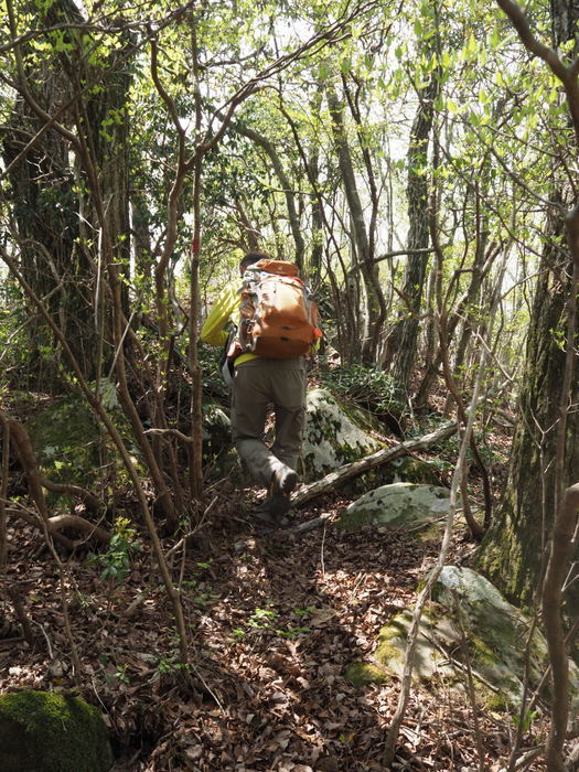 寒山登山_c0116915_01033517.jpg