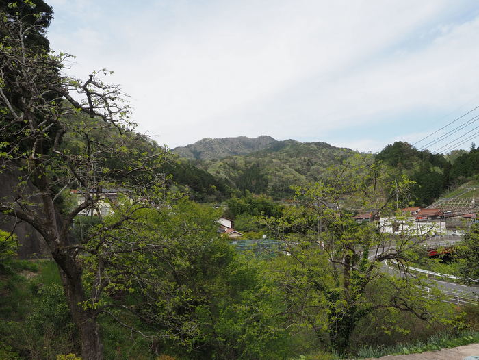 寒山方面_c0116915_22592210.jpg