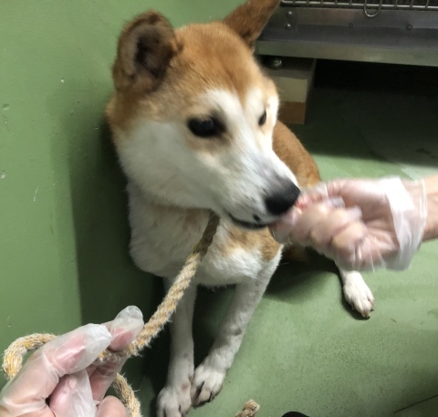 _f0078320_12244190.jpeg