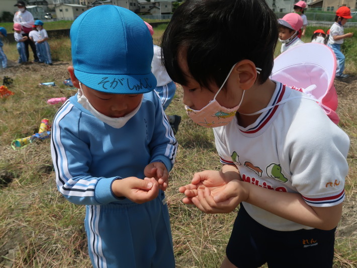 4月23日 年中組 春みつけ_a0212624_11454154.jpg