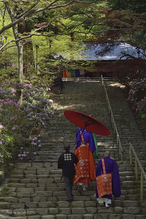 石楠花咲く正御影供 室生寺 東大寺が大好き