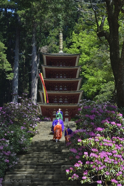 石楠花咲く正御影供 室生寺 東大寺が大好き