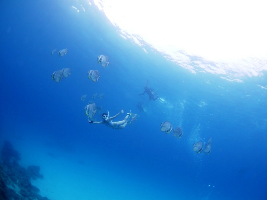 3島巡り~♪_a0189838_09244398.jpg