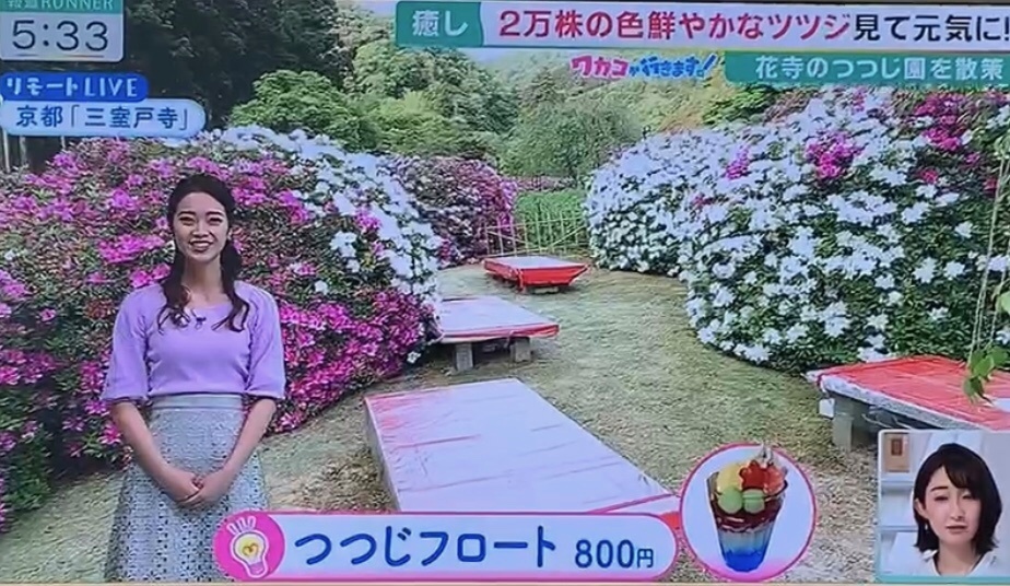 関西テレビ「報道ランナー」三室戸寺境内「花の茶屋」の「つつじフロート」が紹介されました。_d0020139_21252024.jpg