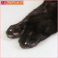 ヒナのその後_a0389088_16270924.jpg