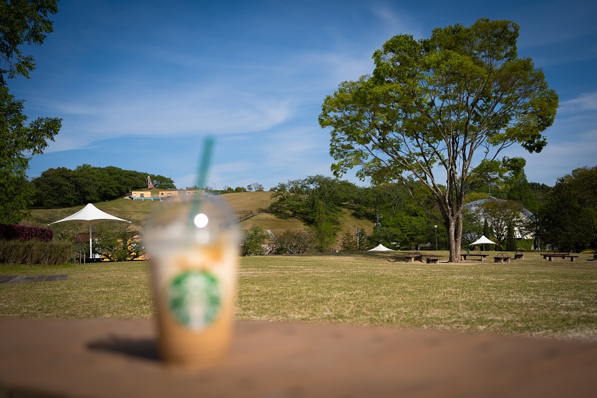 夏日のキャラメルフラペチーノ_d0353489_20111888.jpg