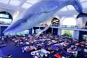 NYでは、巨大クジラの下でワクチン接種、自然史博物館の4人まで無料に