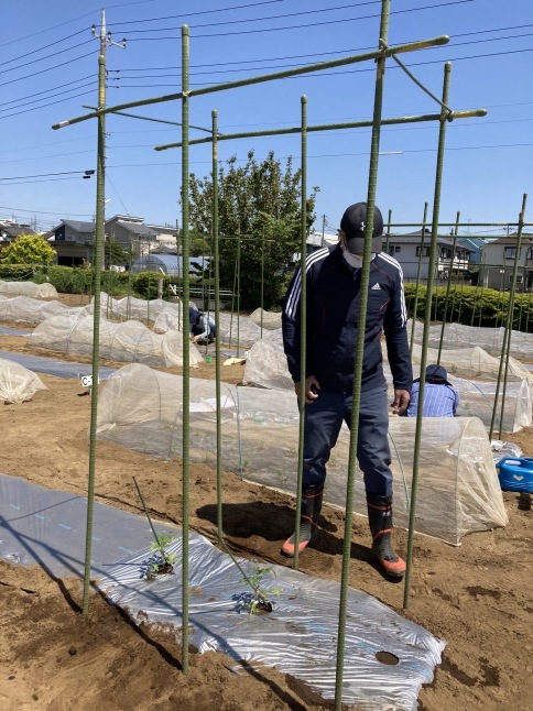 農業体験教室3 〜トマト苗の植え付けと、インゲンの種まき〜_d0348118_08493250.jpeg