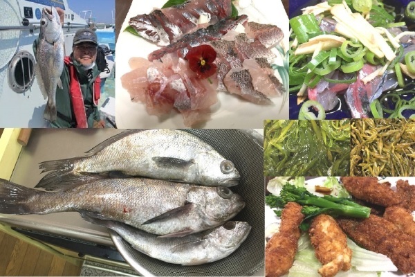 黒グチと鯵釣り 新 直哉の釣り魚料理 黒グチと鯵釣り 新 直哉の釣り魚料理