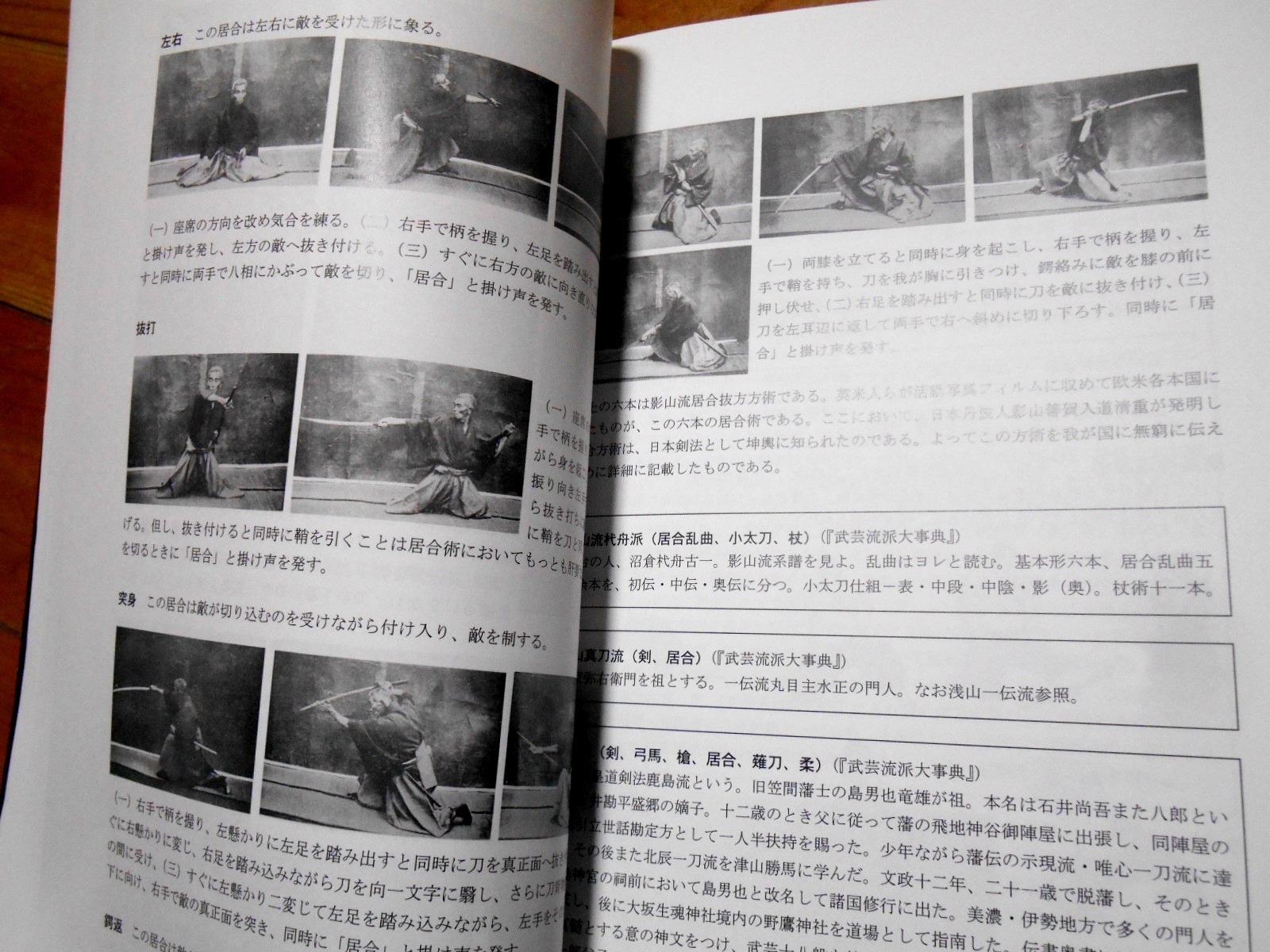 新刊『武術史蹟探訪記 第一巻』 武術 剣術 柔術 居合 薙刀 天然