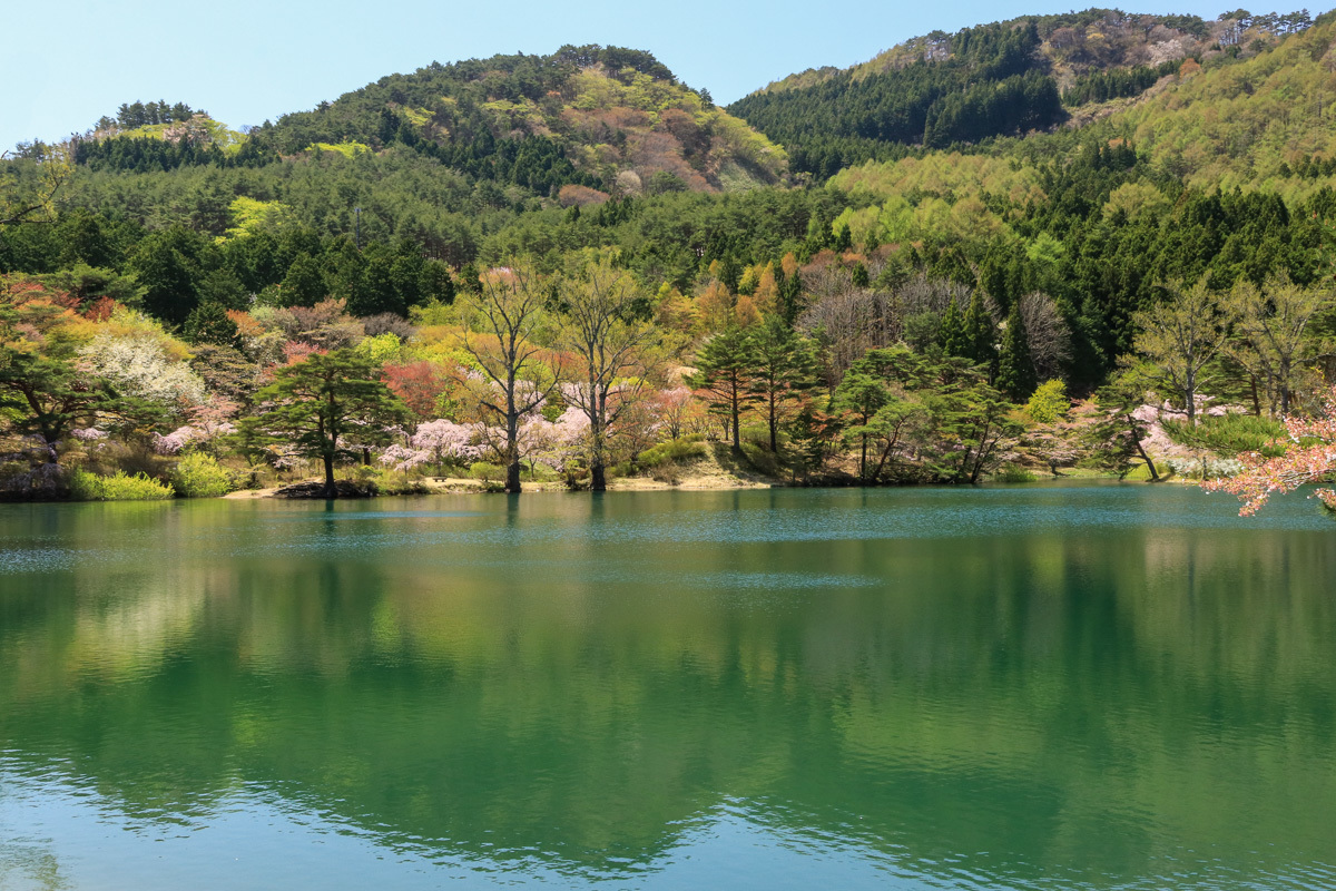 半田沼自然公園 In My Life