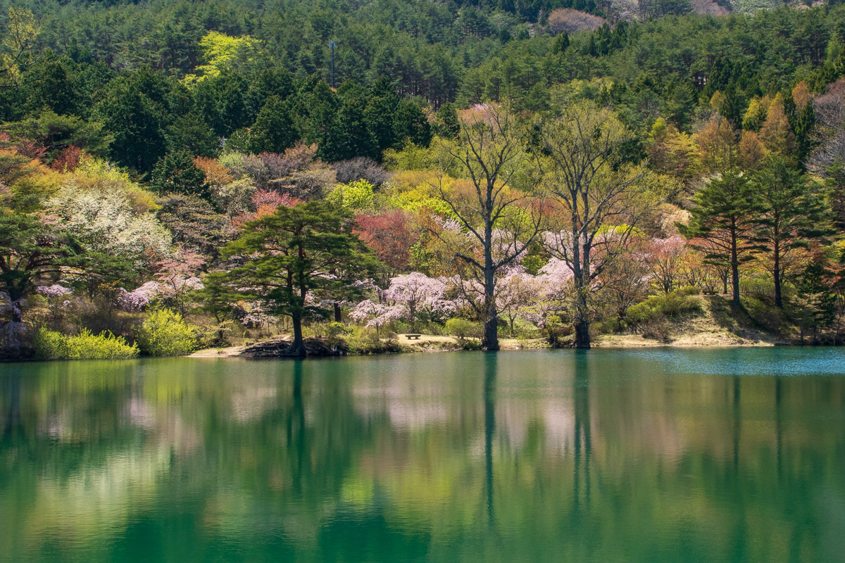 半田沼自然公園 In My Life