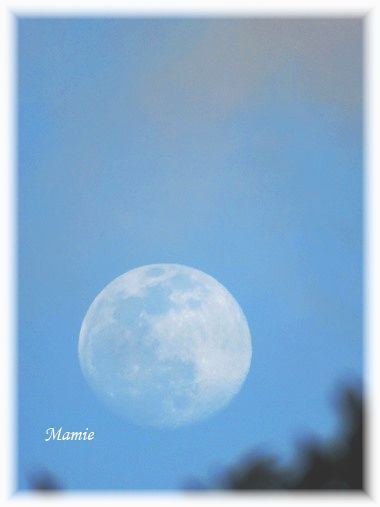 白いお月様　と　雲の白鳥_d0387712_19385689.jpg
