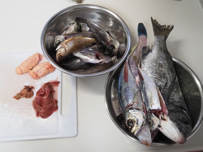 夫の釣果とその後(お刺身)_c0116915_00222277.jpg