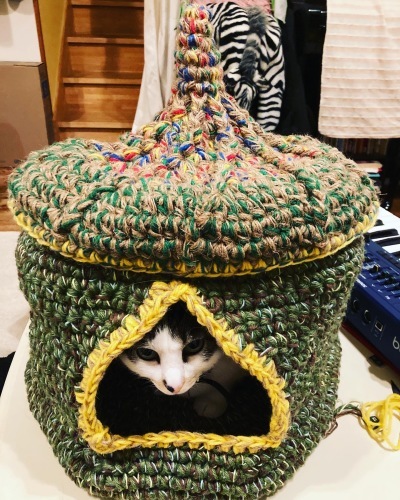 猫ちぐら!_c0331145_20030975.jpg