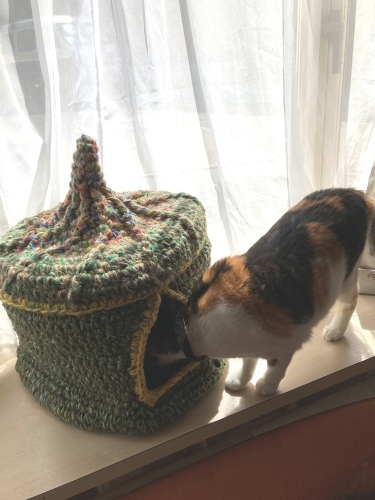 猫ちぐら!_c0331145_20091101.jpg