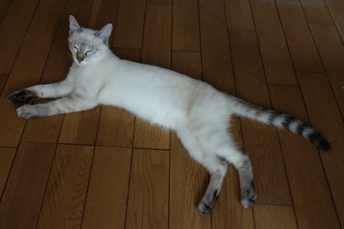 今週も始まりました_d0101846_16590210.jpeg