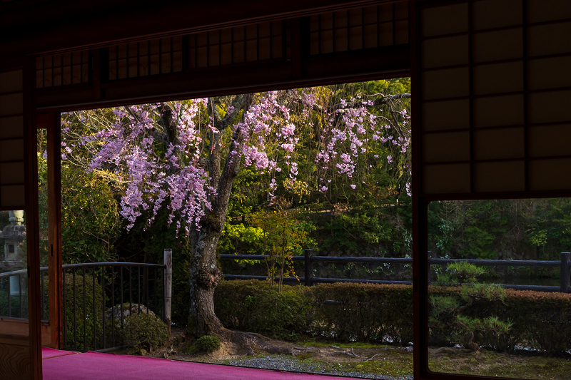 2021桜咲く京都 西山・正法寺の春_f0155048_22371262.jpg