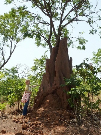 4mのアリ塚 アフリカに 思いやり