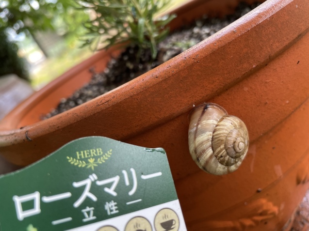 4年の月日が。_a0394574_20274197.jpeg