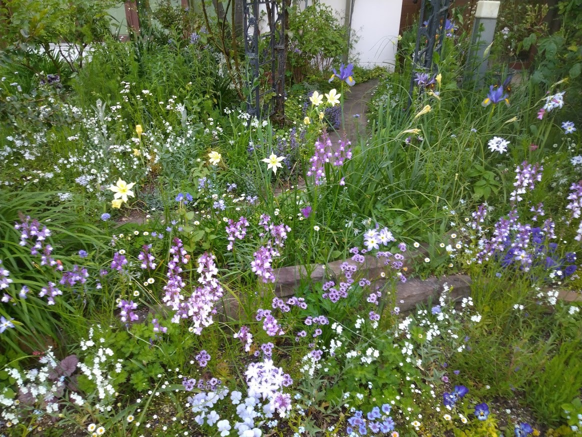 仕事の合間にブルーの庭へ あけの秘密の花園 仕事の合間にブルーの庭へ あけの秘密の花園