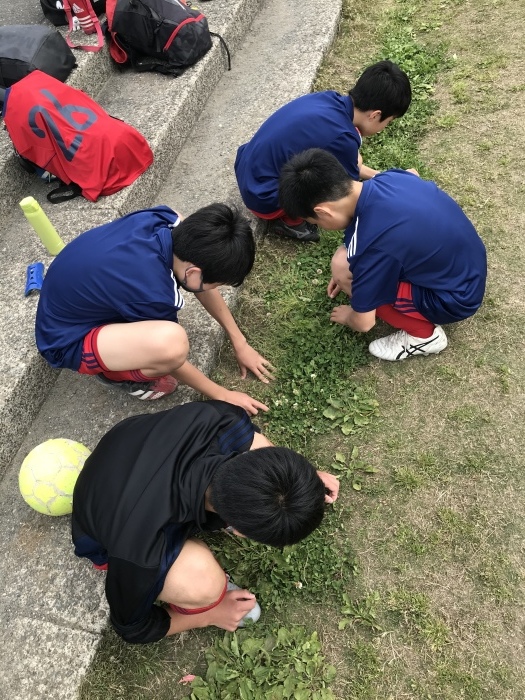4月25日 日 U 14trmかながわクラブ 横浜gsfc U 15