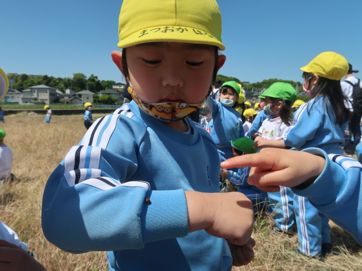 4月26日 年少、りんご組春みつけ_a0212624_11355928.jpg