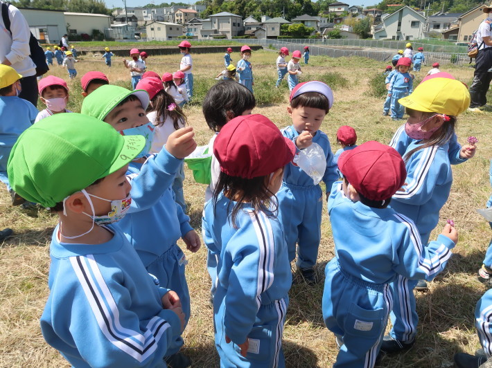 4月26日 年少、りんご組春みつけ_a0212624_11360494.jpg