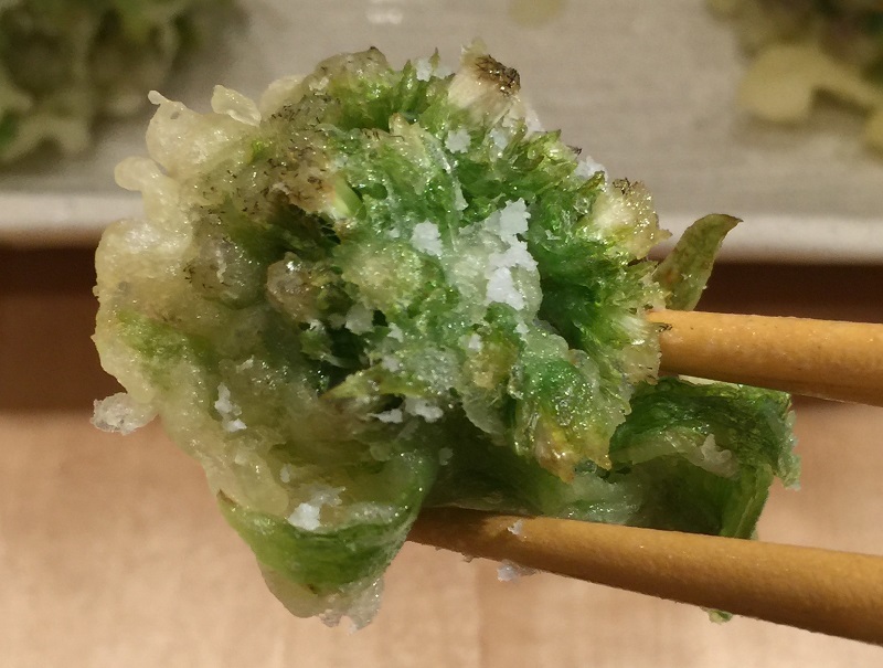 蕗の薹_f0076731_15453139.jpg