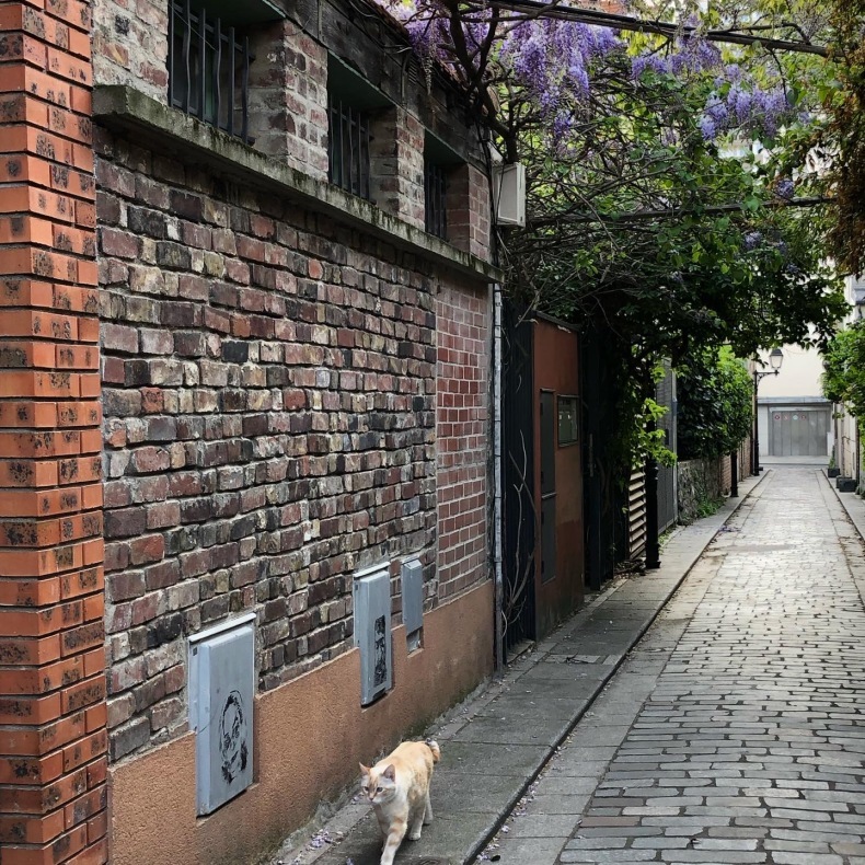 パリ13区 藤のトンネルをパリ散歩_a0231632_18251642.jpeg