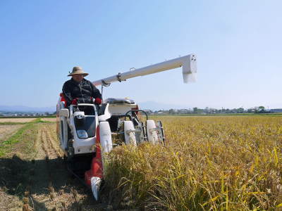れんげを肥料に使い今年も変わらぬ美味しさに「七城町砂田のこだわりれんげ米」れんげの花咲く様子(2021)_a0254656_17034929.jpg