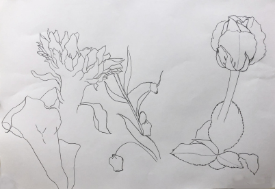 花のクロッキー 2021年4月 : 教室通信/松尾美術研究室