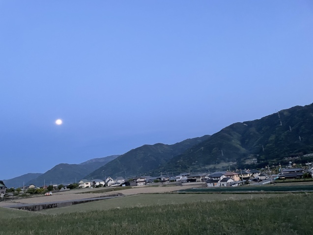 思い込み、かも⁈_a0394574_21460769.jpeg