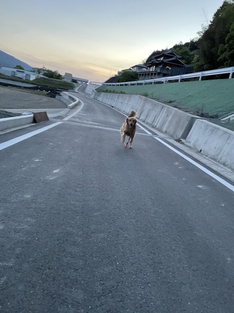 思い込み、かも⁈_a0394574_21465098.jpeg