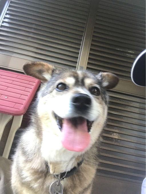 GWが始まります^_^_d0132688_20393158.jpg