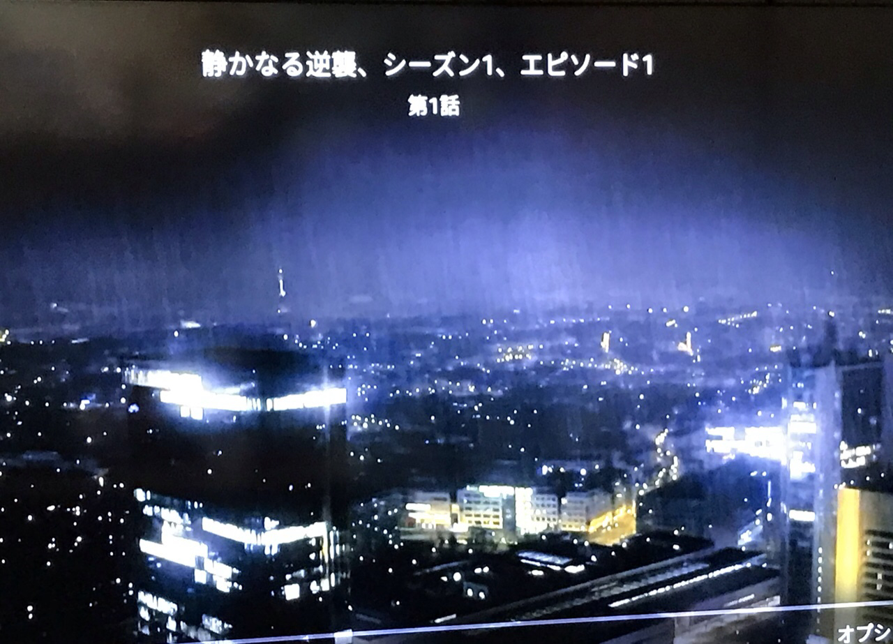 チェコのドラマ 静かなる逆襲 この人は誰 青山ぱせり日記