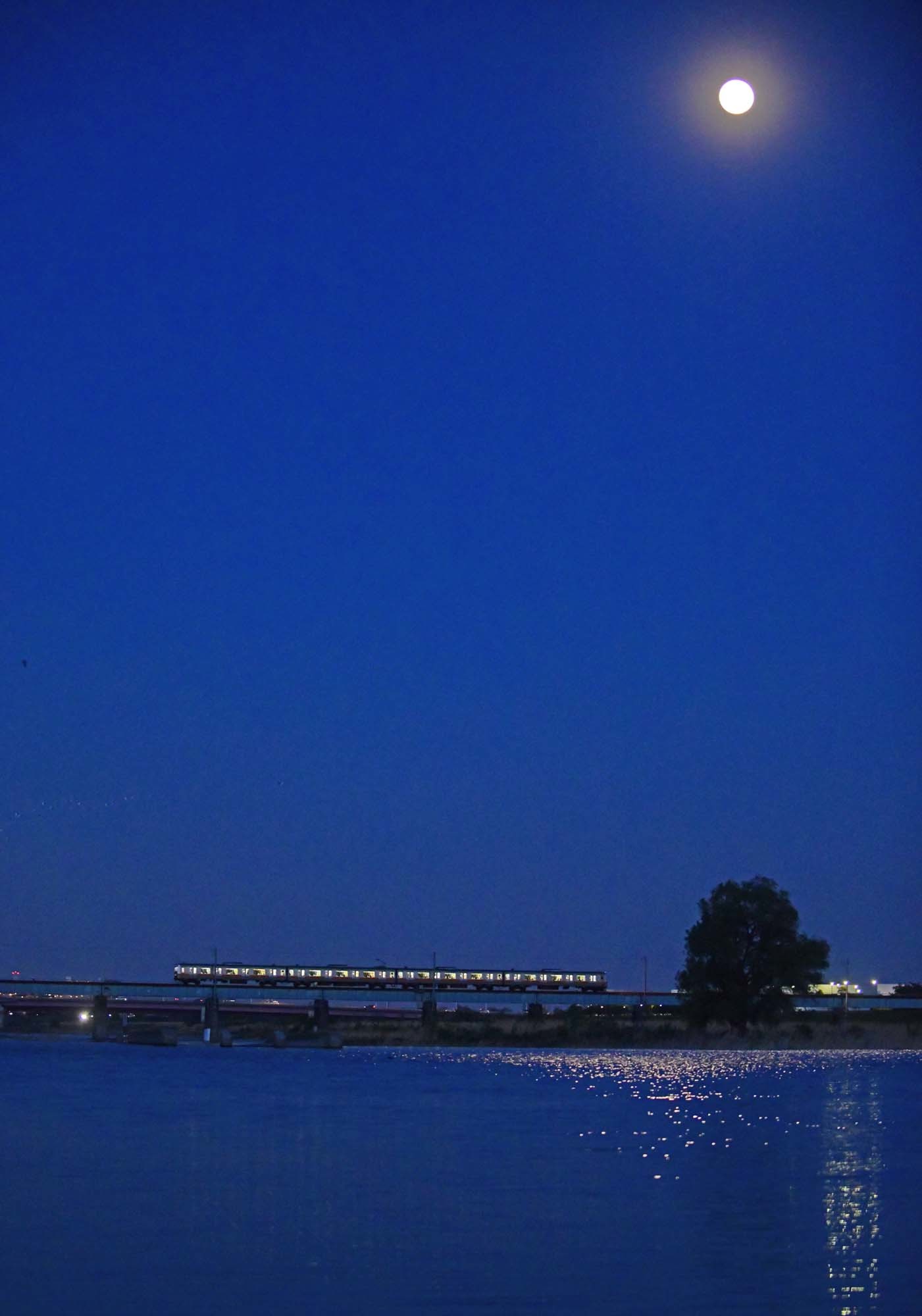 月夜の八高線・多摩川鉄橋_f0173596_20375372.jpg